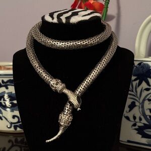 Silver Tone Snake Necklace!